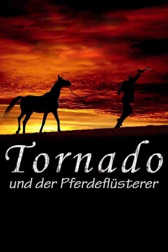 Tornado_und_der_Pferdefluesterer