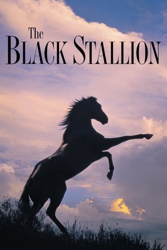 The black stallion - Der schwarze Hengst