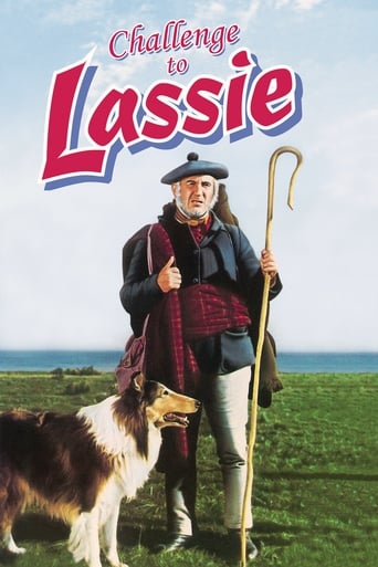 Challenge to lassie - In Not